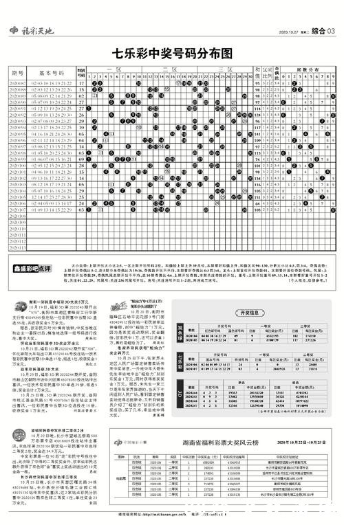 世界杯投注从小白到赢家的蜕变秘籍